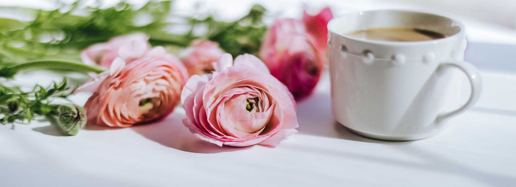 Pink ranunculus lying on a white counter next to a white ceramic coffee cup filled with coffee and cream.