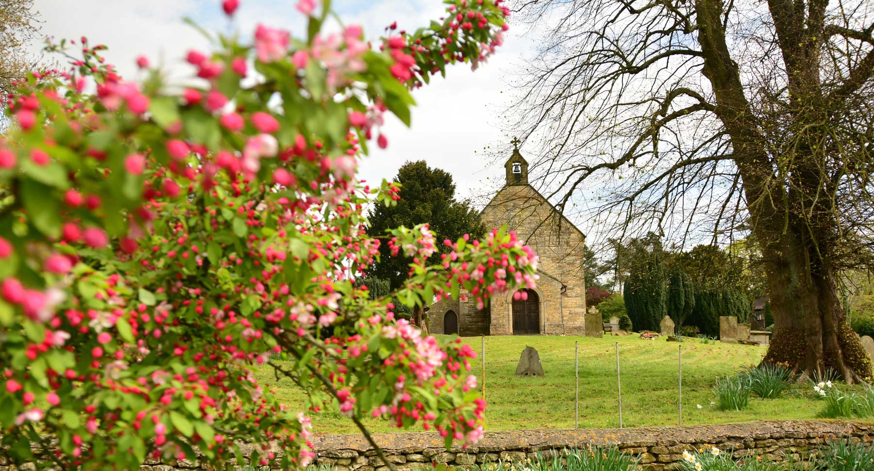Church in a green field and flowers in foreground