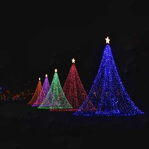 Christmas Trees of Various Colors