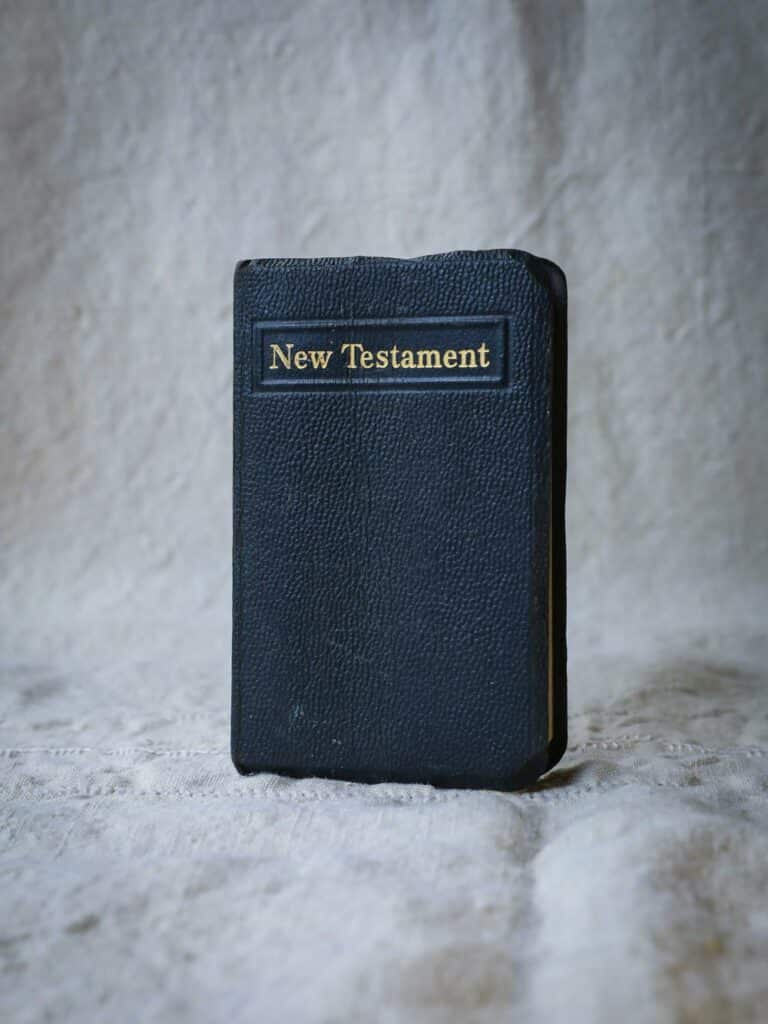 Black New Testament standing upright against gray background